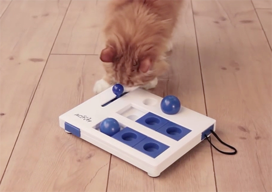 New Brain Mover Cat Activity Toy from Trixie hauspanther