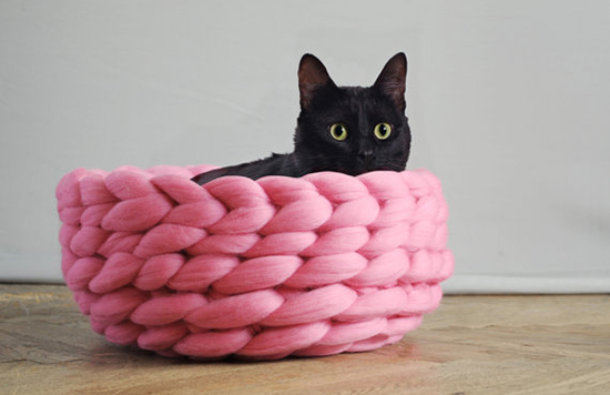 OhhioCatBed2