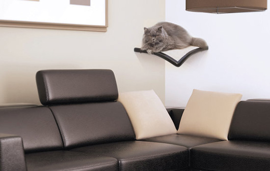 LazyCatFurniture2