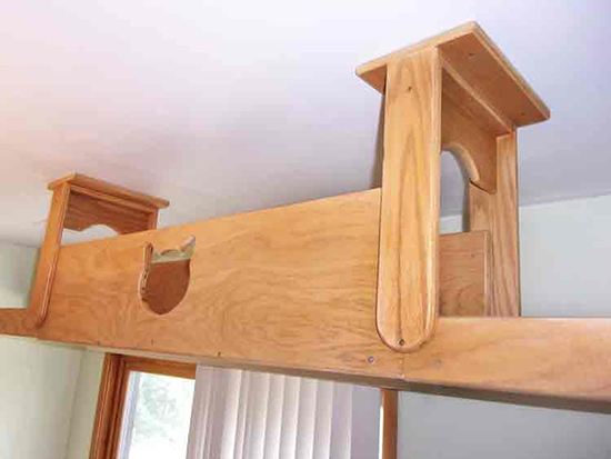 VerticalCatBridge2