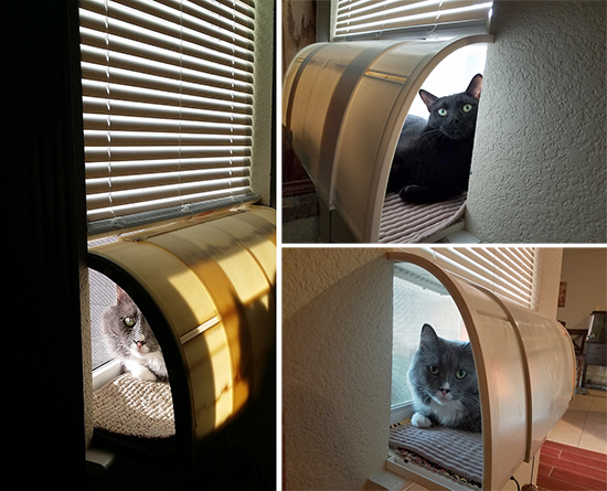 Kitty window seat top