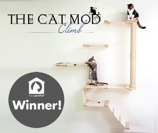 catmodwinner