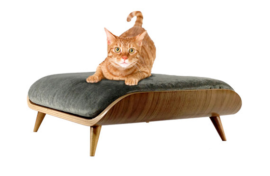 cairudesigndesignercatbedmidcenturymodern1