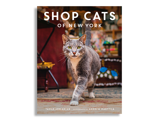 shopcatsofnybook1