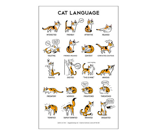 catlanguageposter1