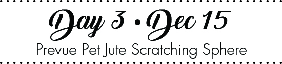 day3