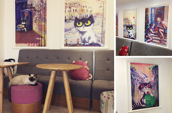 ichi_catcafe3