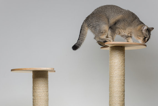 Modern Cat Trees