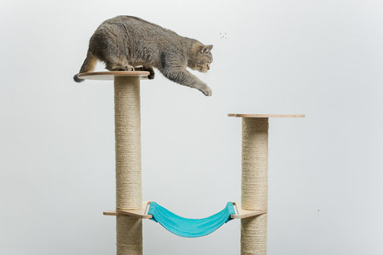 Modern Cat Trees