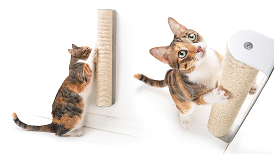 Modern Wall-Mounted Cat Scratcher