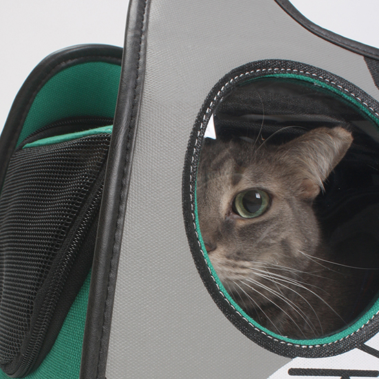 Backpack Cat Carrier Cat Face Ears