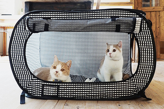 Portable Cat Enclosure