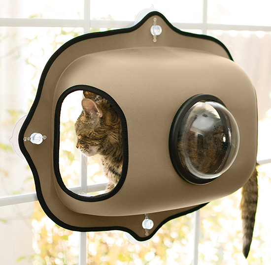 Bubble Pod Window Cat Bed