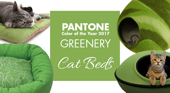 Pantone 2017 Greenery Cat Beds