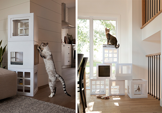 Katt3 Modular Cat Climbing System