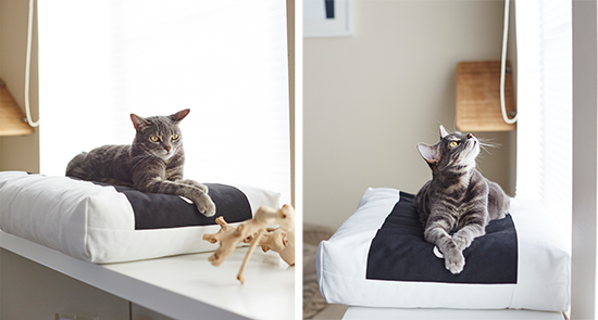 Beautiful cheap cat beds