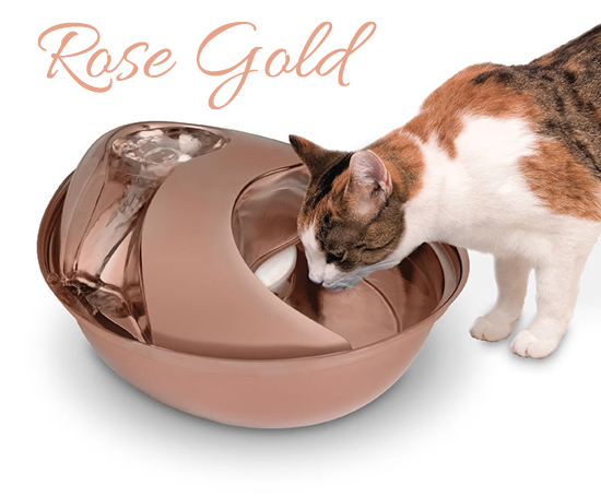 Rose gold on sale cat bowl