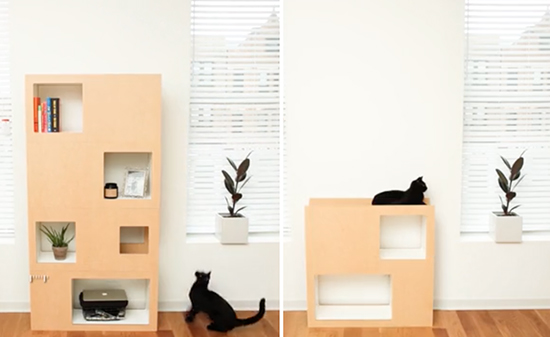 Cat cheap case bookcase