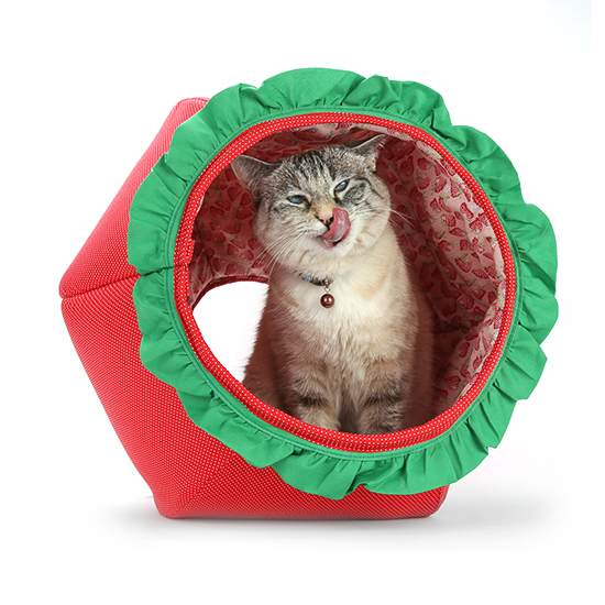 Strawberry online cat bed