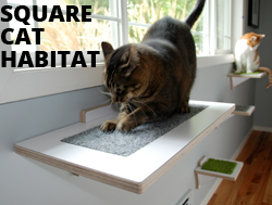 Shop Square Cat Habitat