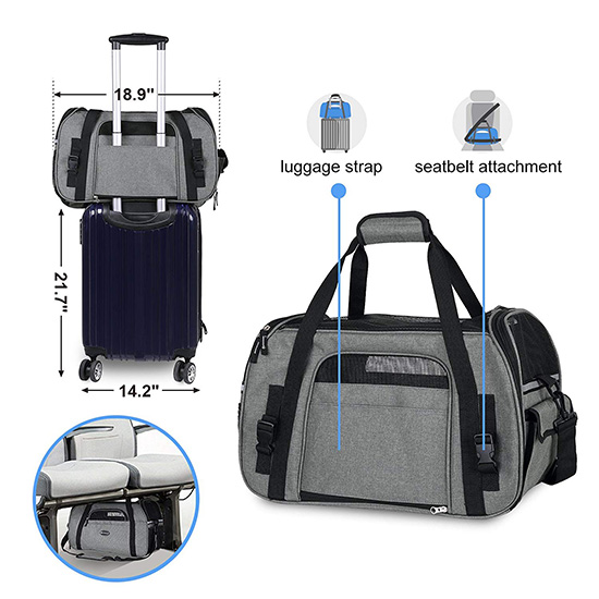 Travel in Style with the Songmics Pet Carrier • hauspanther