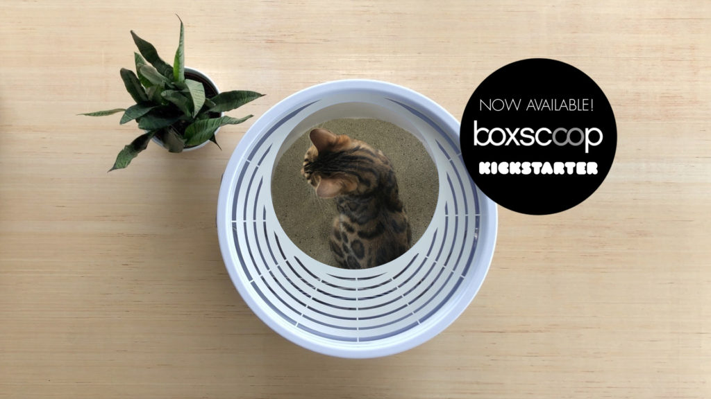 Boxscoop 2.0 Now Available on Kickstarter! • hauspanther