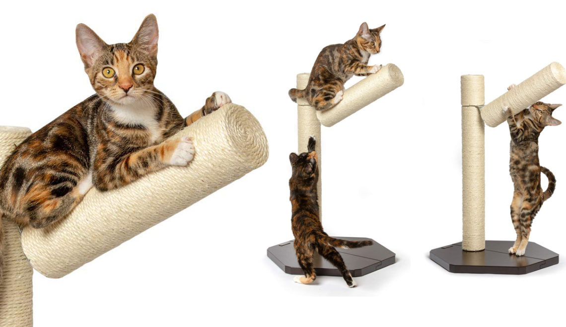 PetFusion Branch-Out Cat Scratching Post Lets Kitties Scratch & Climb