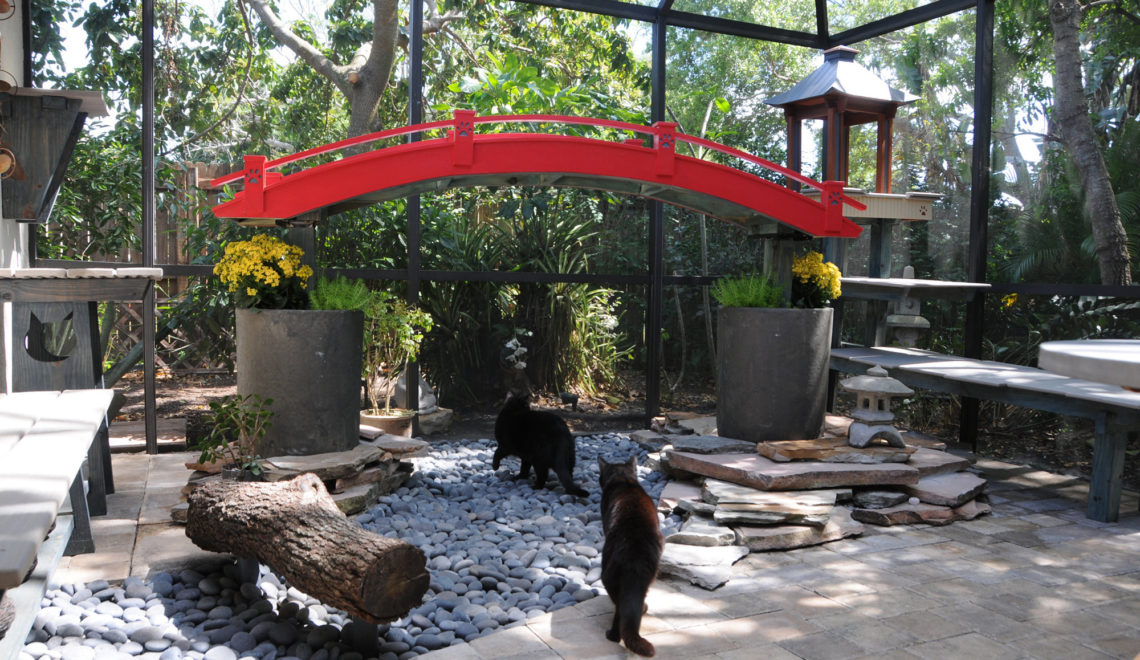 Incredible Japanese Cat Garden Catio Design