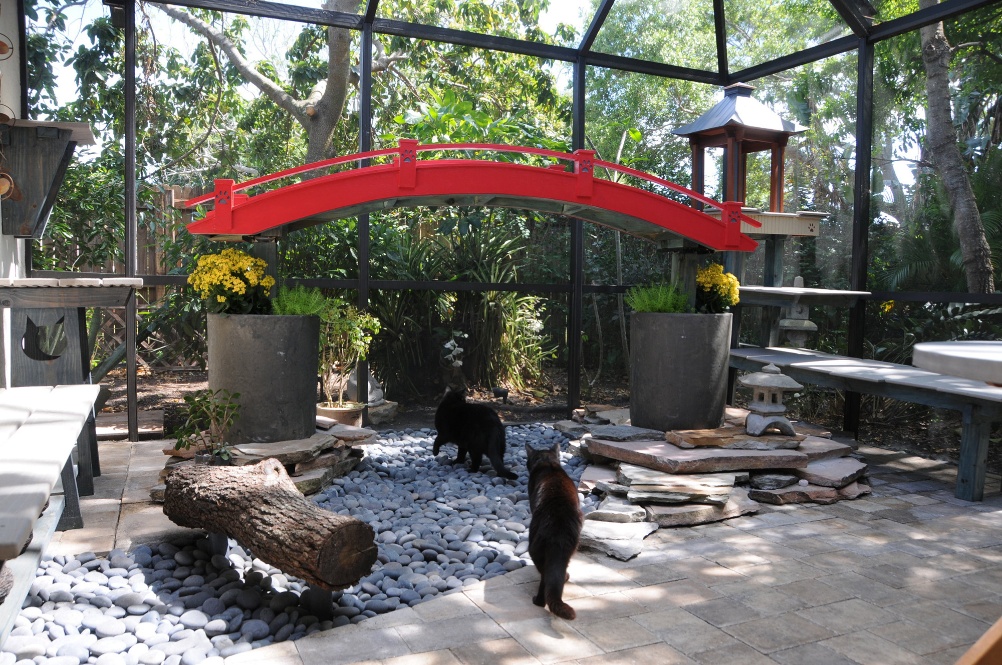 Japanese Inspired Custom Catio Design In Florida