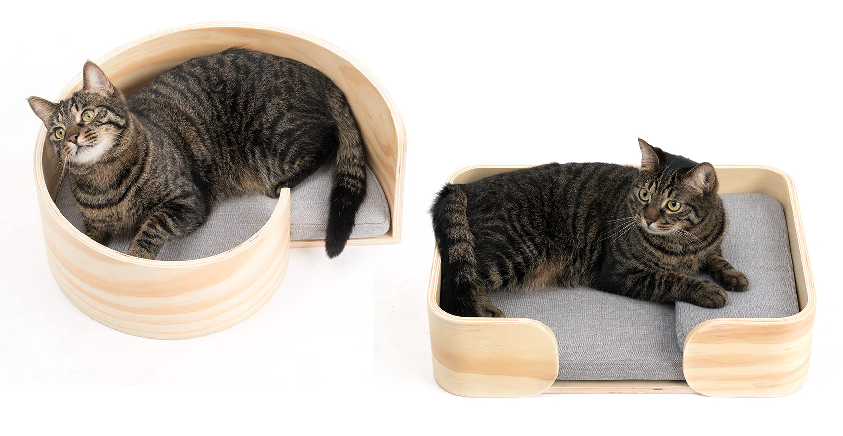 modern cat beds