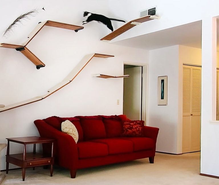 CatScapes Cat Shelves Rampingup for Production • hauspanther