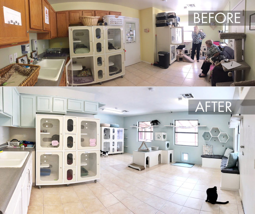 Sojourner Center Pet Companion Shelter Makeover • hauspanther