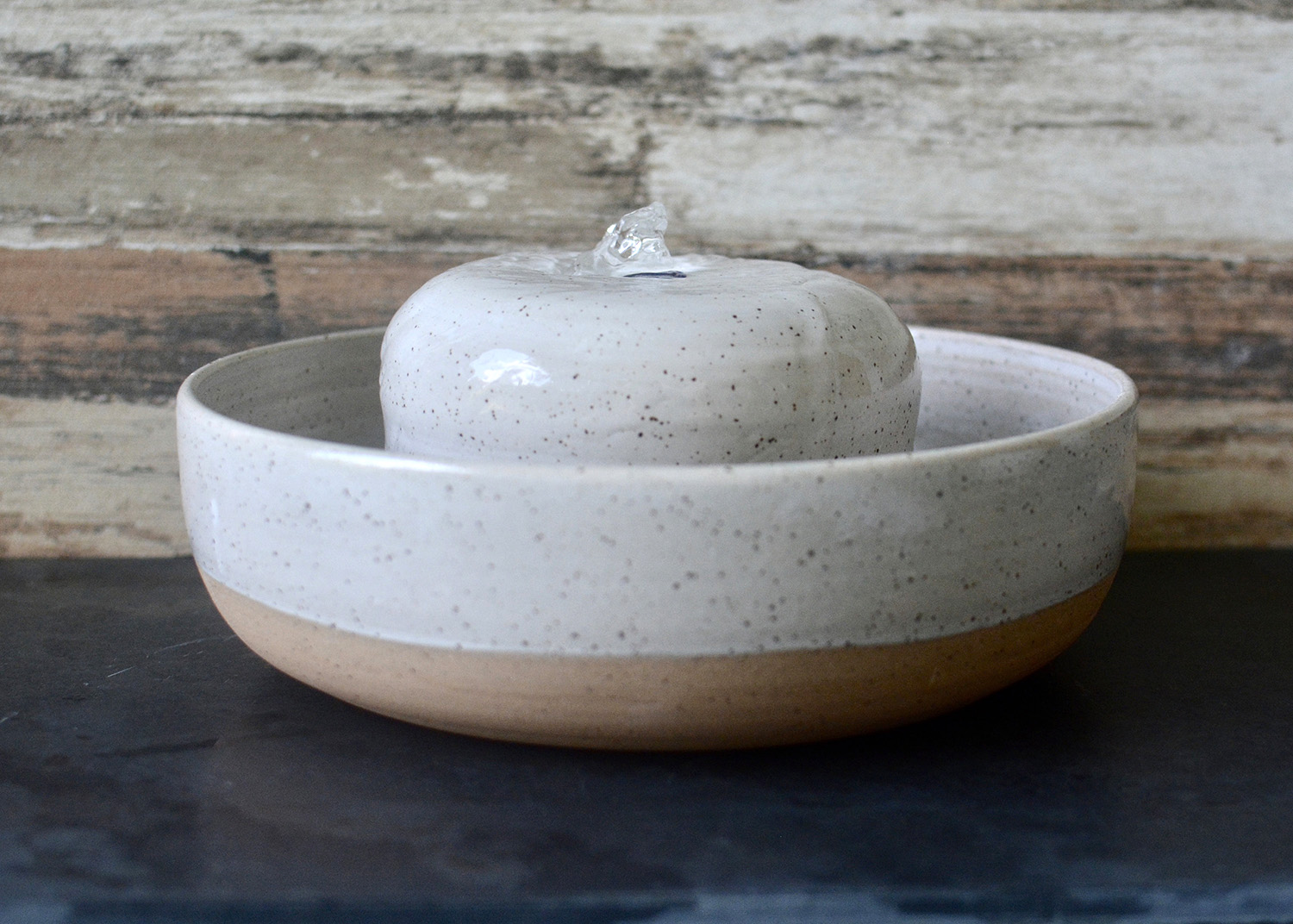 Modern Ceramic Pet Fountains by Tania Julian Ceramics hauspanther