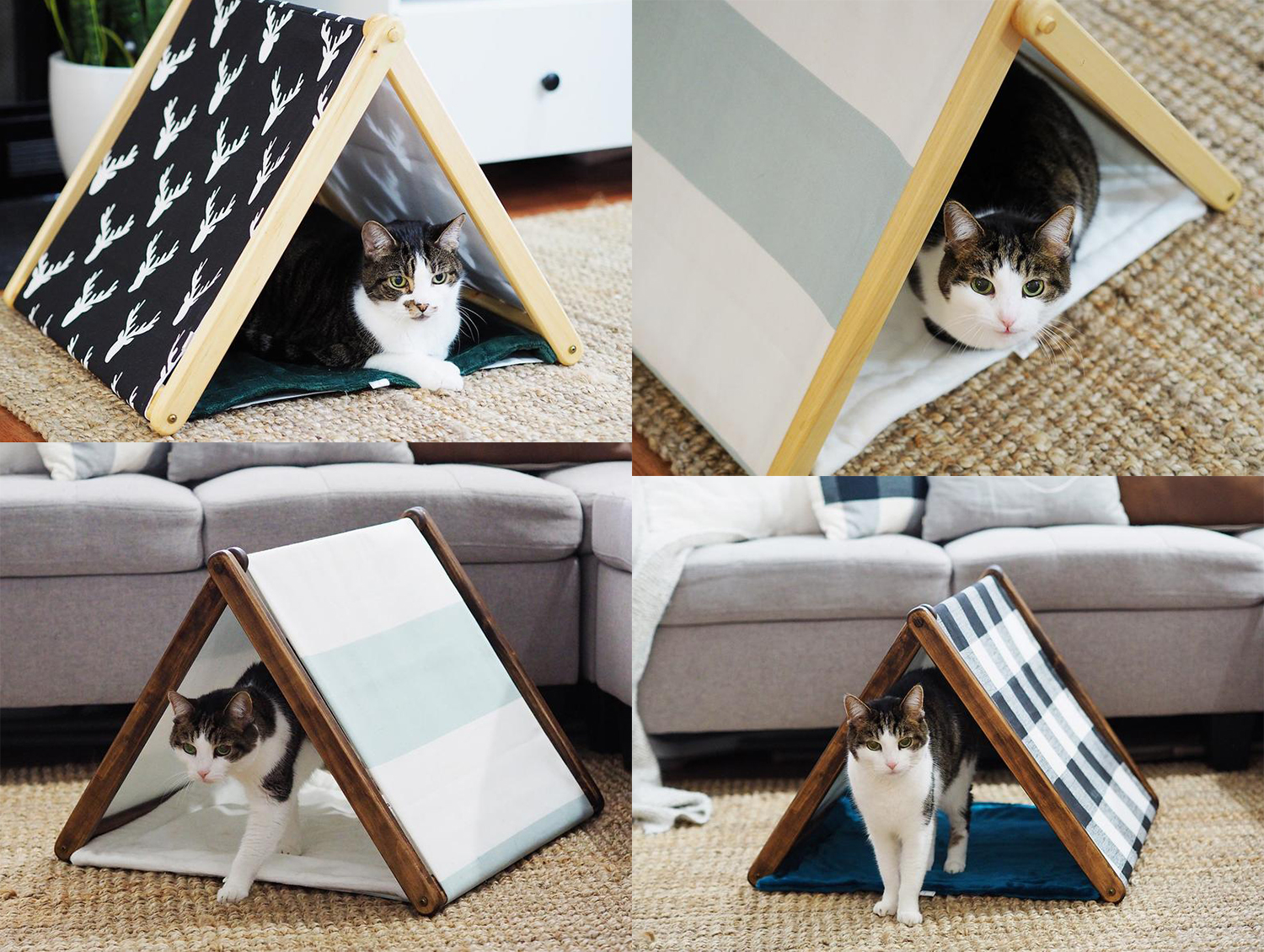 dood gaan Verstoring Lucky Handcrafted Wood Tents & Beach Chairs for Cats & Kittens from The Purring  Saw • hauspanther
