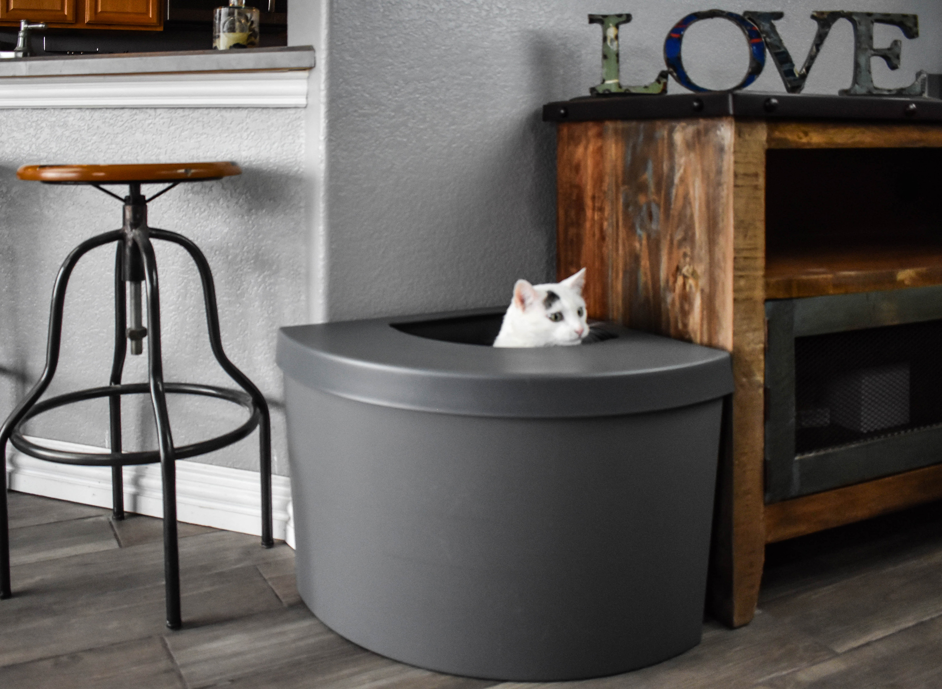 xl cat litter box