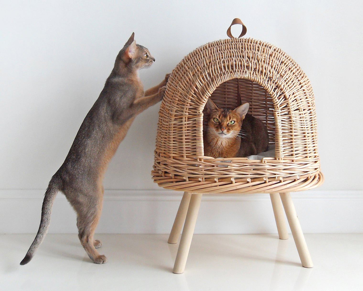 Natural Wicker Cat House from Hunting Pony hauspanther