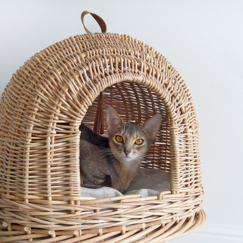 Wicker cat shop