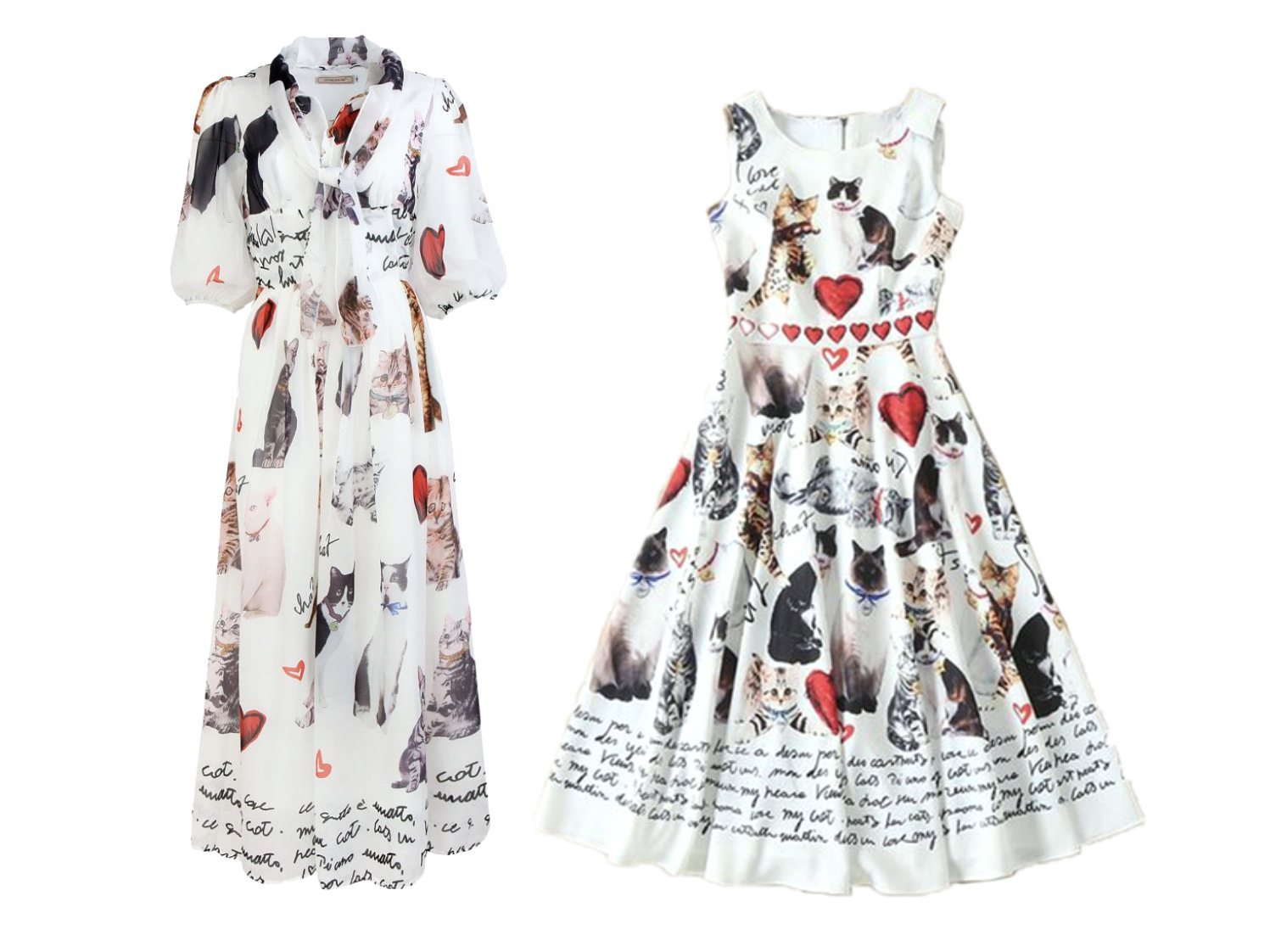 Cat Fashionista is Redefining the Modern Cat Lady