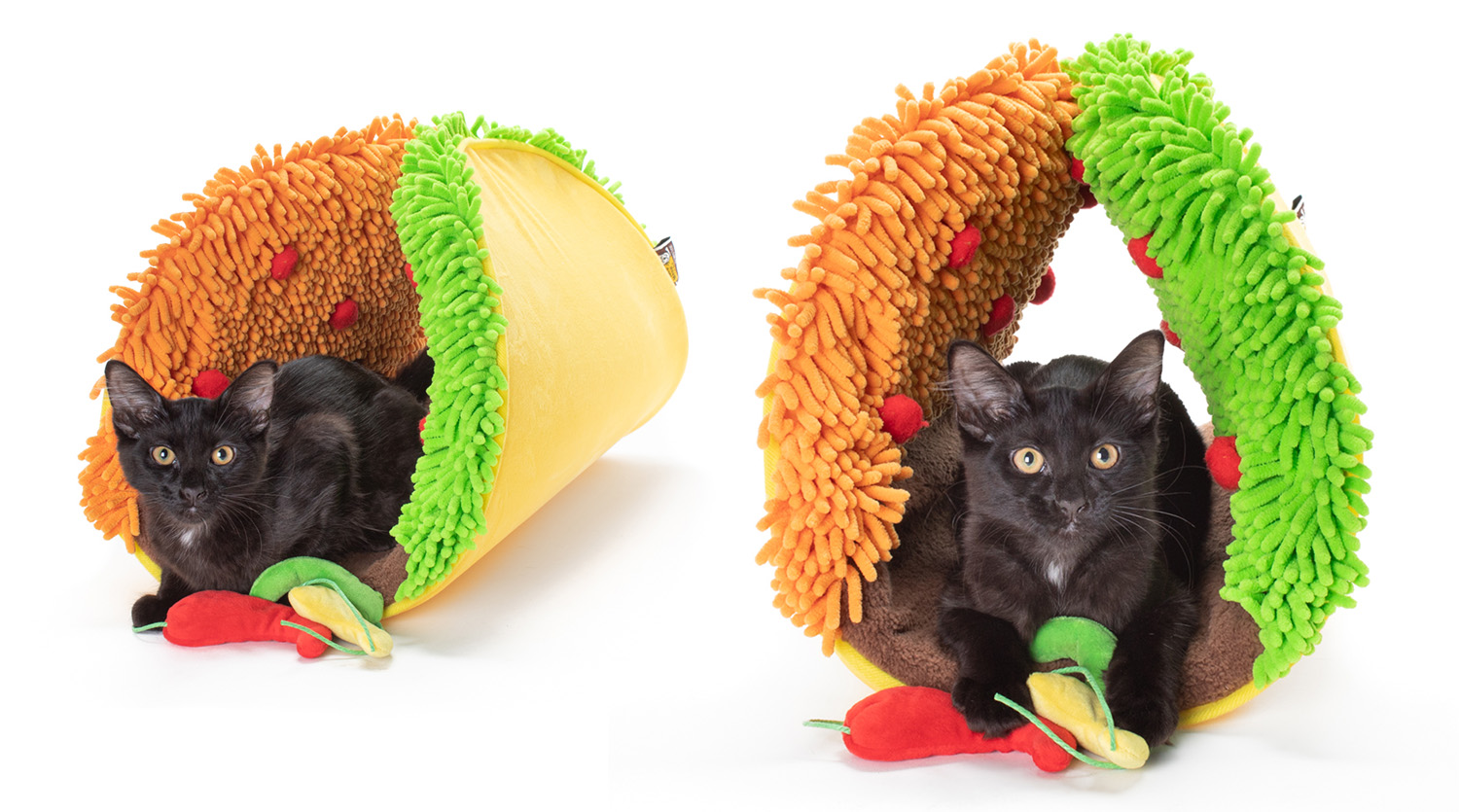 Taco pet deals bed
