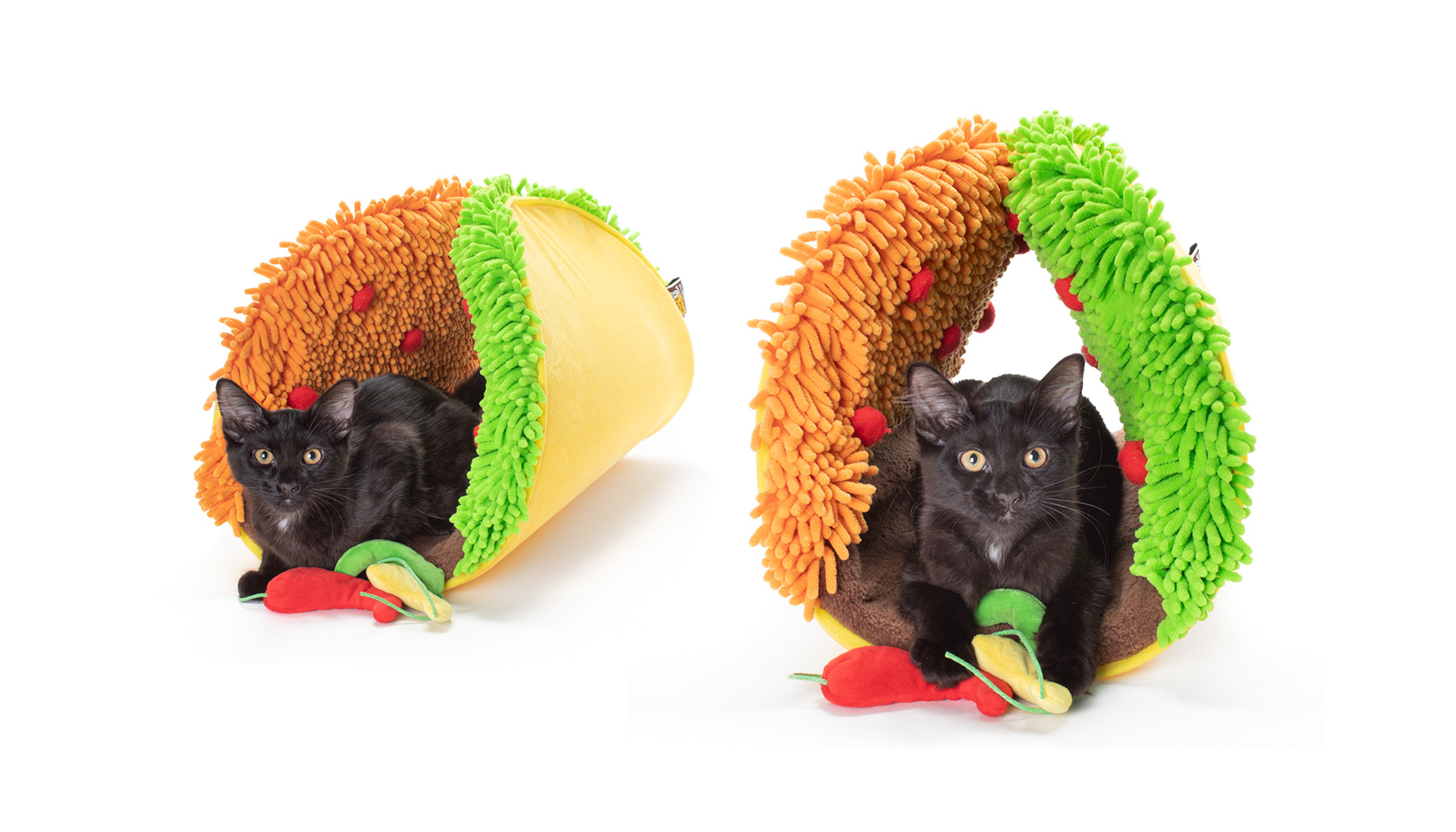 Cat taco bed 2025