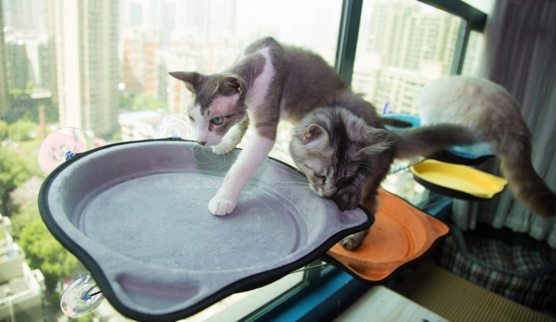 Modern Window-mounted Cat Perch
