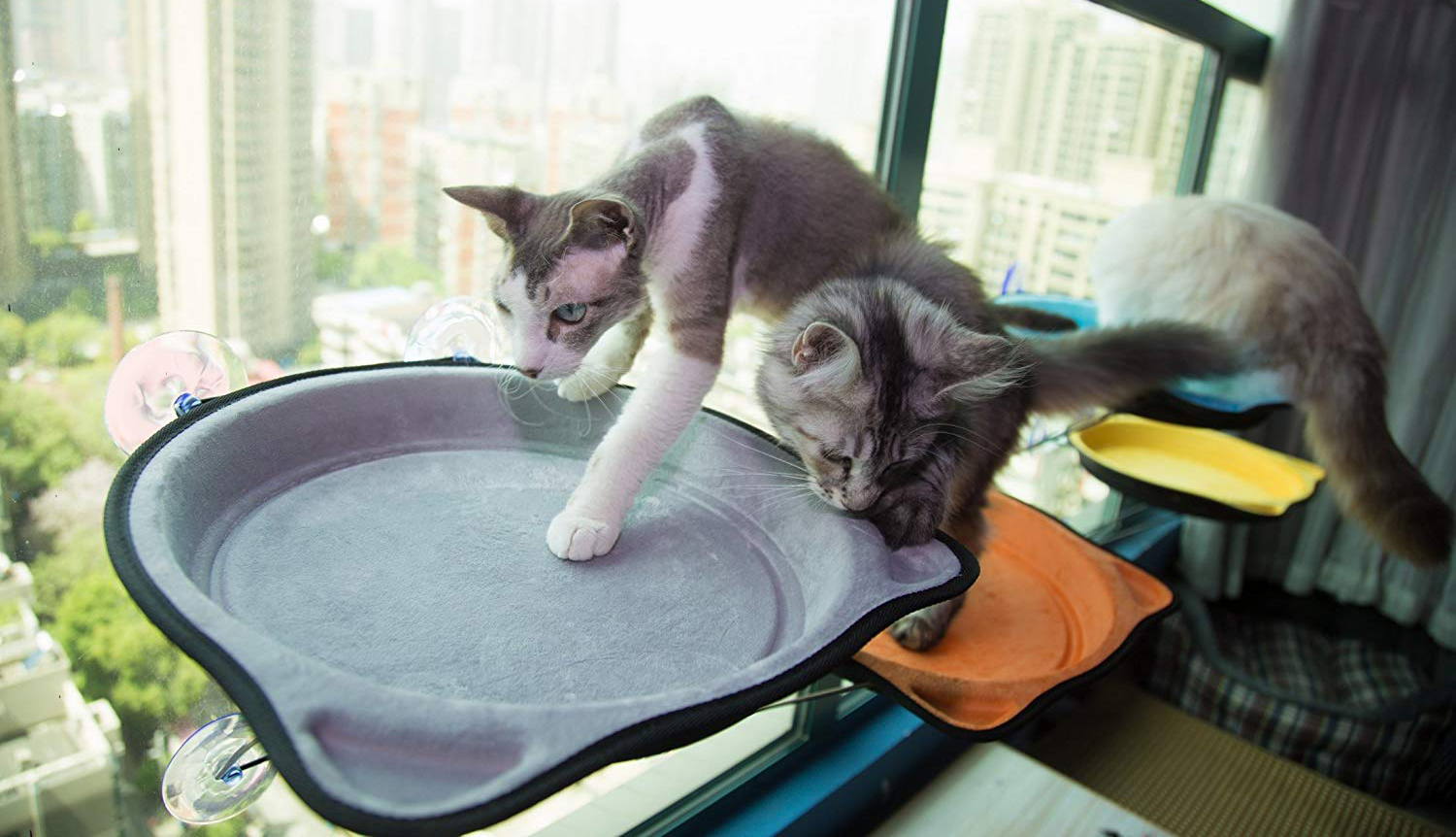 Modern Window mounted Cat Perch hauspanther