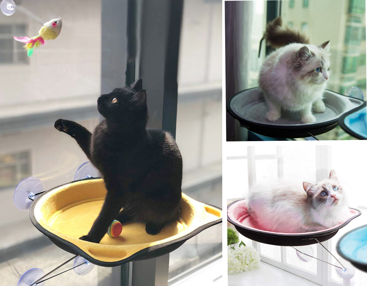 Suction-cup mounted cat window perches