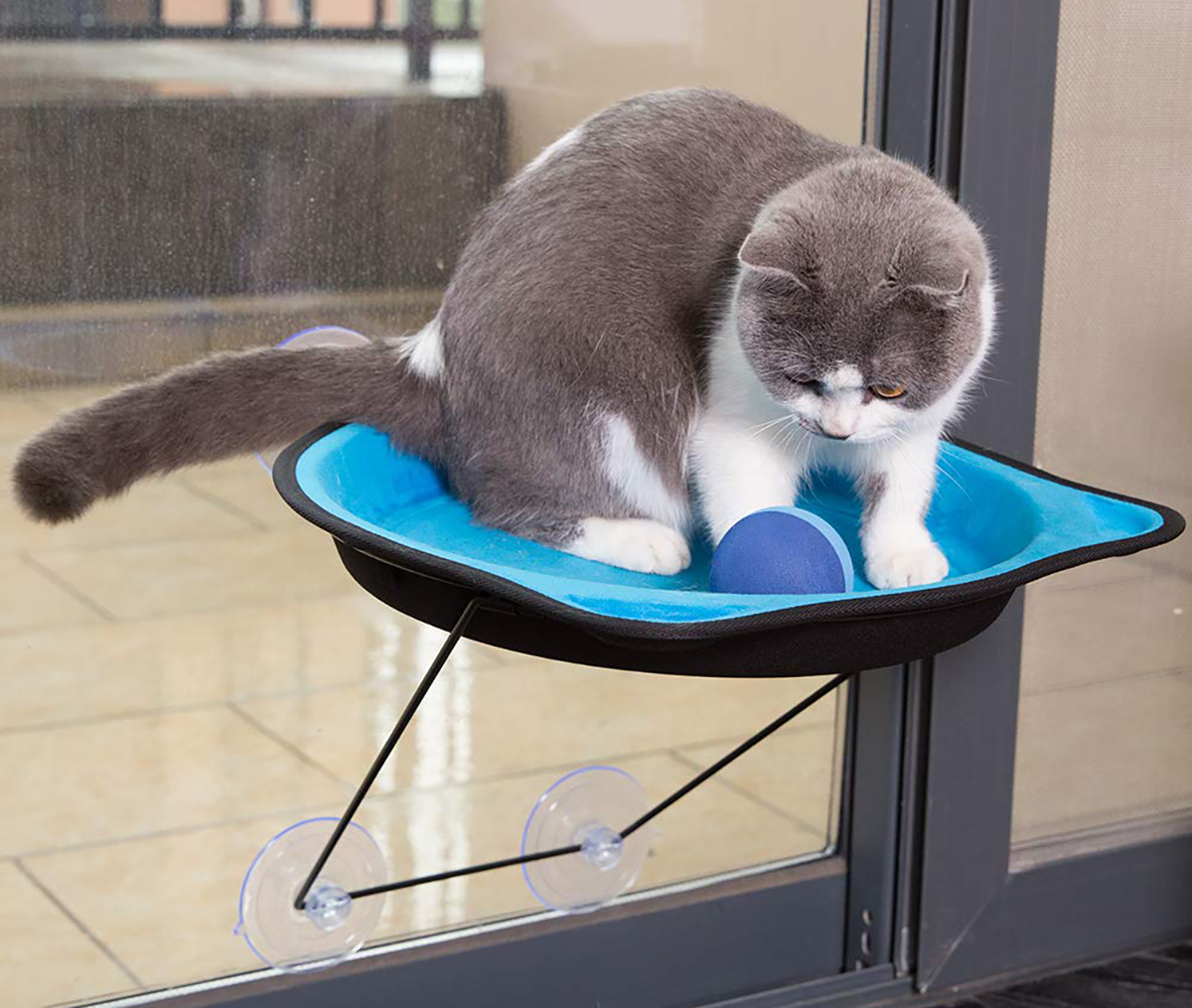 Cat head-shaped window perch, suction cup mount, modern design