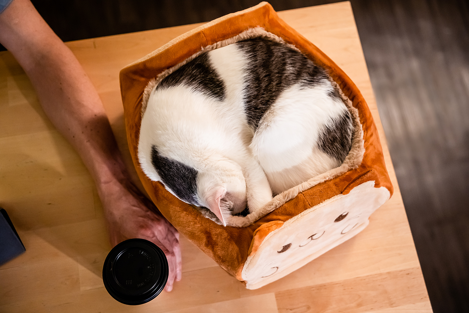 TopastyCat Cozy Cat Bed in the shape of a loaf of bread