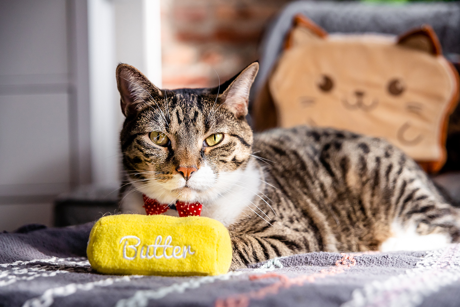 Plush Butter Stick Cat Toy