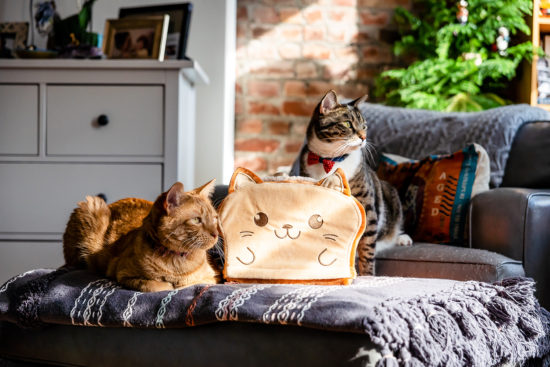 ToastyCat cozy bread loaf cat bed