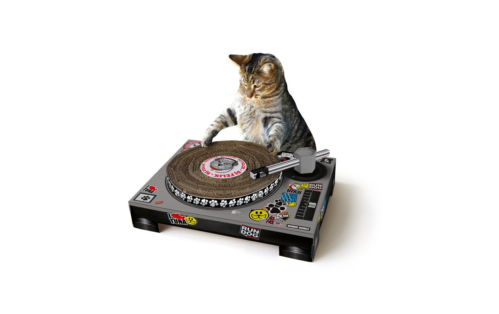 Creative Cats Websites Fast Online Web Design Services Creative Cats Websites Fast Online Web Design Services