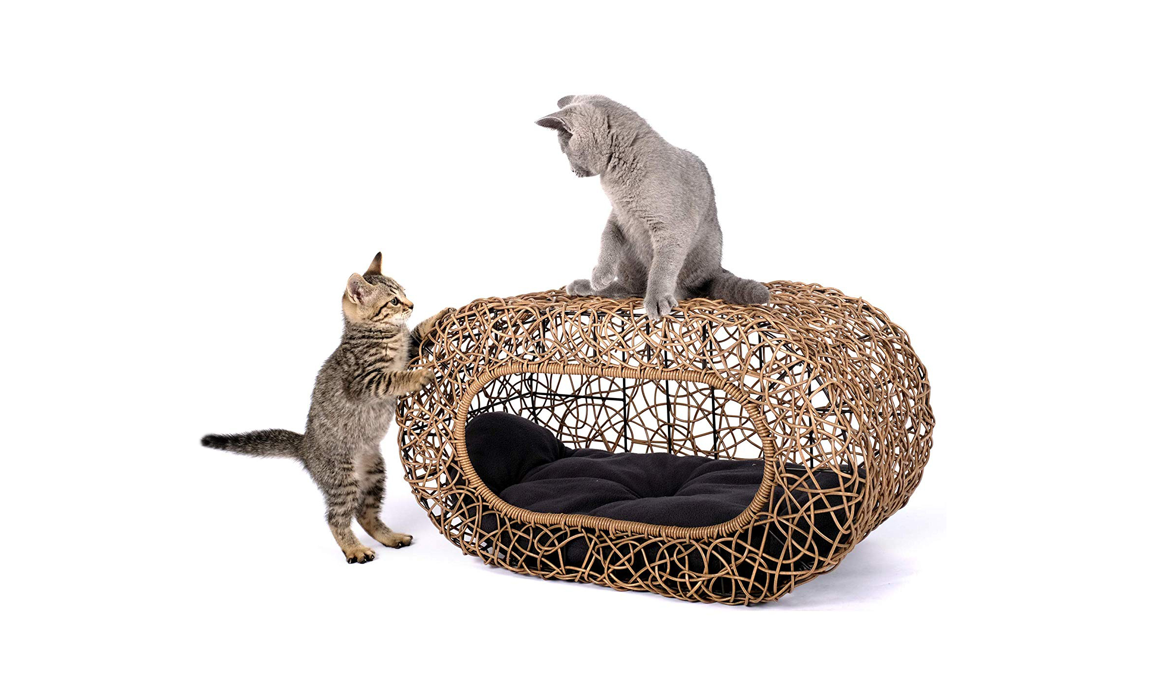 Stylish Wicker Pods Make Perfect Cat Hideaways That Match Your Decor