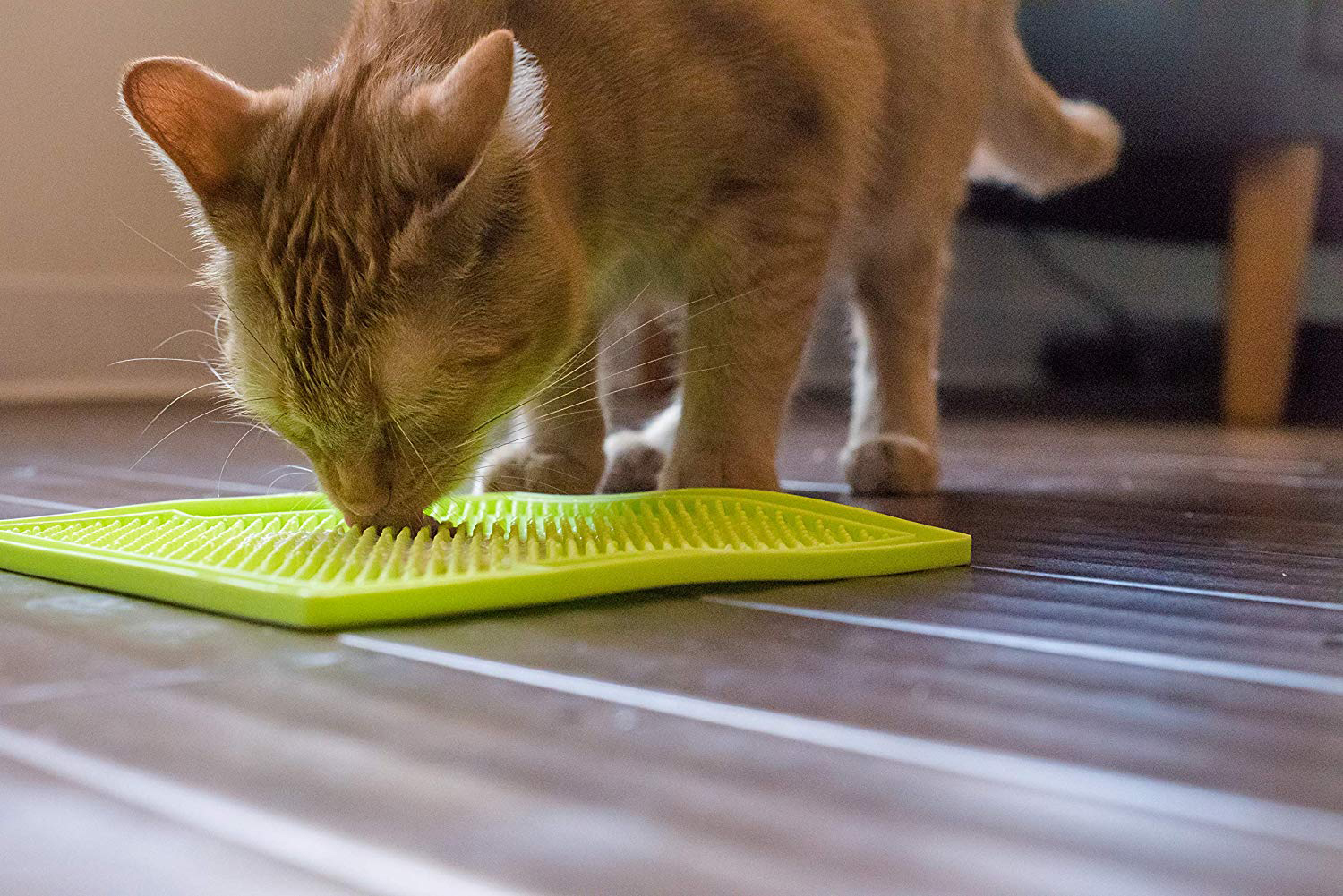 The Best Lick Mats for Cats in 2022